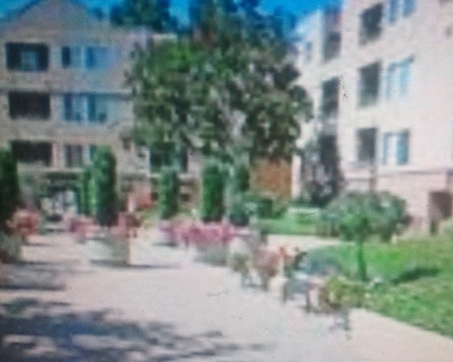 1st image of 8889 Caminito Plaza Centro Unit 7239