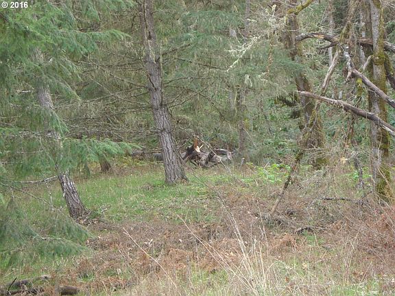 4th image of Palisade Dr