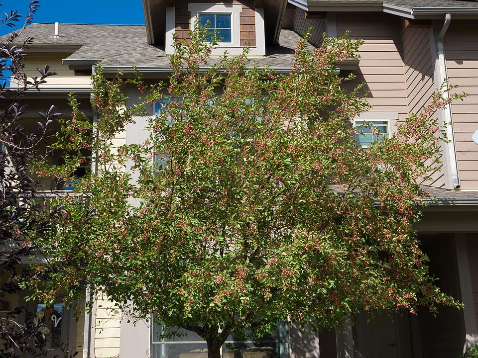 Front of Townhome
