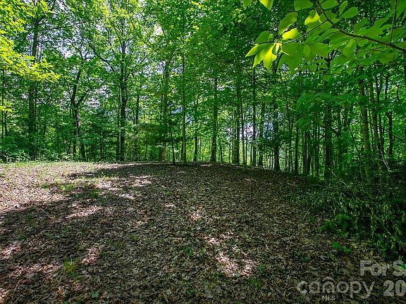 3rd image of Tbd Diamond Creek Rd