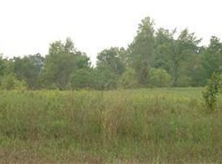 Pioneer Rd, Osseo, MI 49266