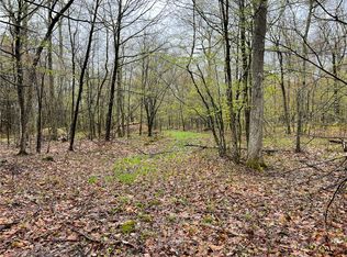 0 Diddish Hill Rd #17, Davenport, NY 13750