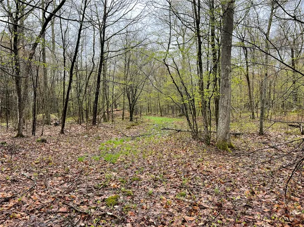 0 Diddish Hill Rd #17, Davenport, NY 13750