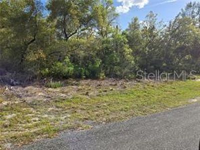 County Road 245c, Oxford, FL, 34484