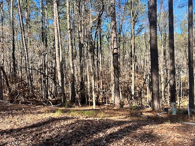 2nd image of 0 Oconee Lane