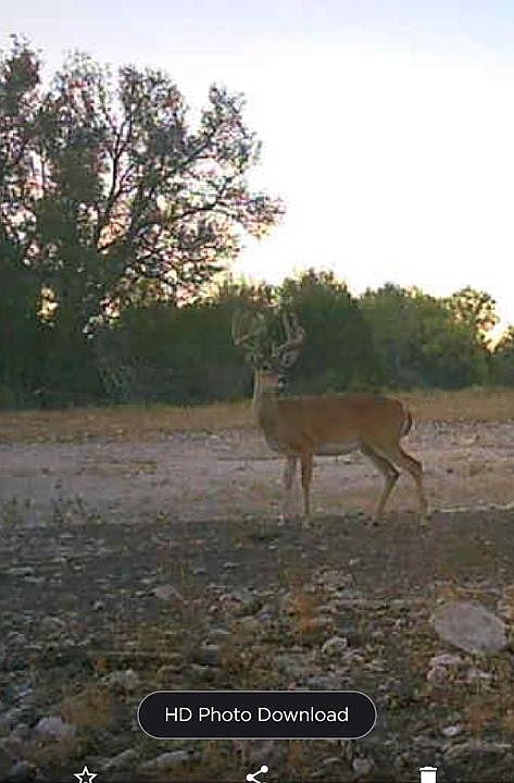 1st image of 1019 Whitetail Trl #11