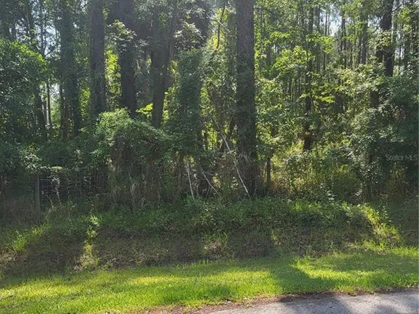 7630 Brookline St #296, Wesley Chapel, FL 33544