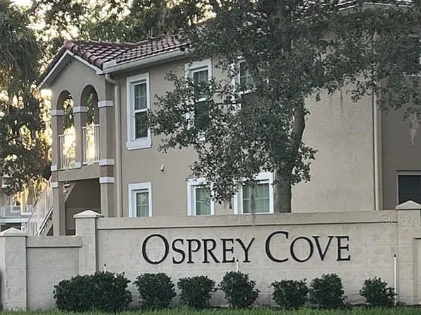 2814 Osprey Cove Pl, Kissimmee, FL 34746