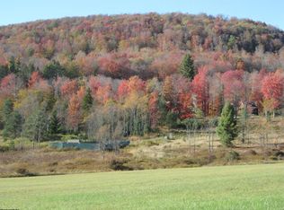 26 Waterfront Dr, Davis, WV 26260