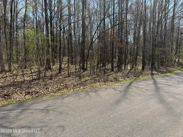 0 Steele Rd, Hernando, MS 38632