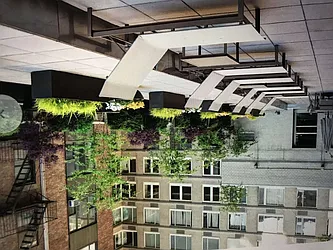 Rented by Sandra Ospina, Licensed Real Estate Broker