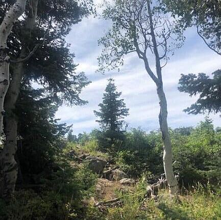 2nd image of 245 N Whispering Pines Rd