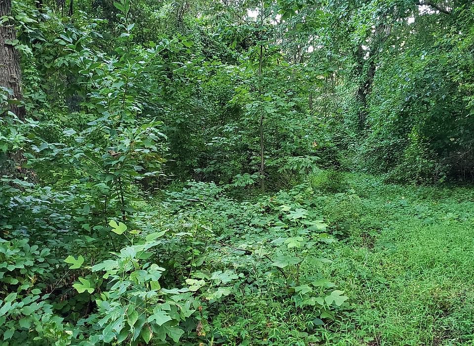 1st image of 437 McBride Ln