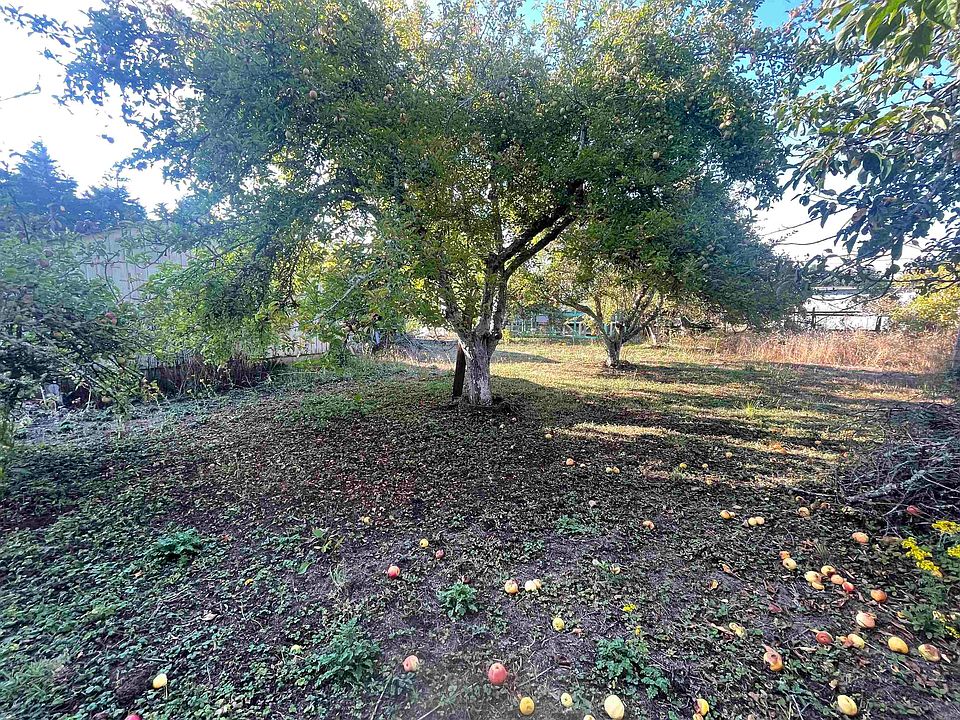 2nd image of 4275 Lake Earl Dr