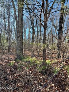 106 Hunterwood Ln, Crossville, TN, 38558