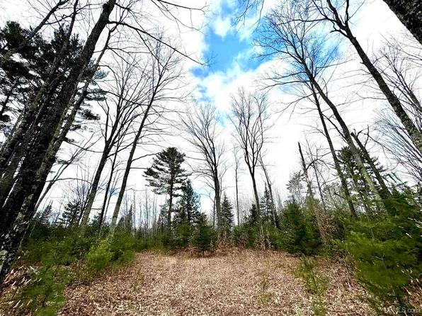 Off M69 Rd, Perronville, MI 49873