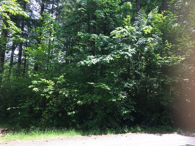 64727 E Sandy River Ln, Rhododendron, OR, 97049