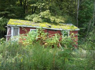 147 Merrill Creek Rd, Marathon, NY 13803