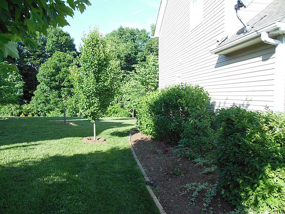 side yard 2013