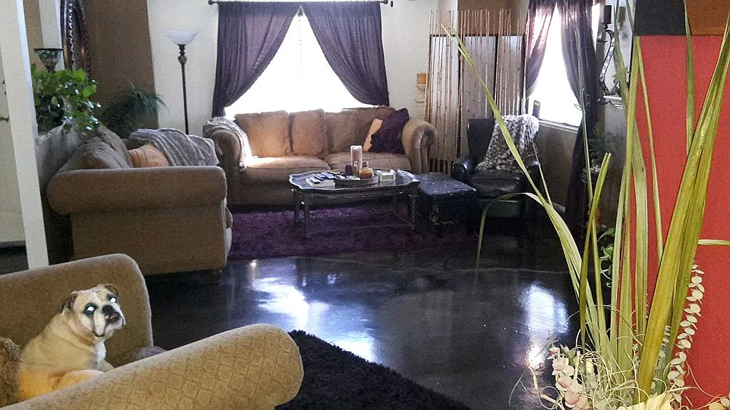 1525 Adriana Way photo 1