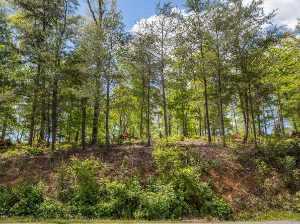 LOT 189 Old Toccoa Loop, Mineral Bluff, GA 30559