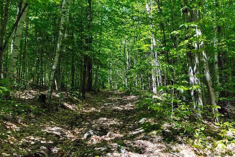 4th image of 0 RILEY HILL Road