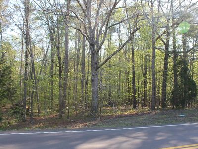 TRACT 6th Est #57, Michie, TN, 38357