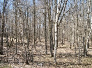 LOTS 26 & 29 Loch Lomond Boulevard, Birchwood, WI 54817