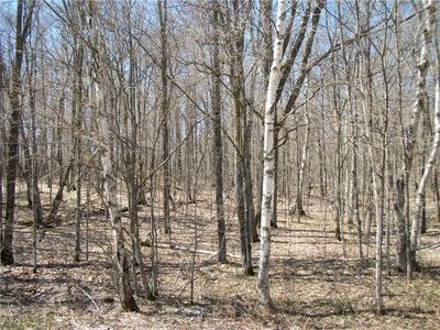 LOTS 26 & 29 Loch Lomond Boulevard, Birchwood, WI, 54817