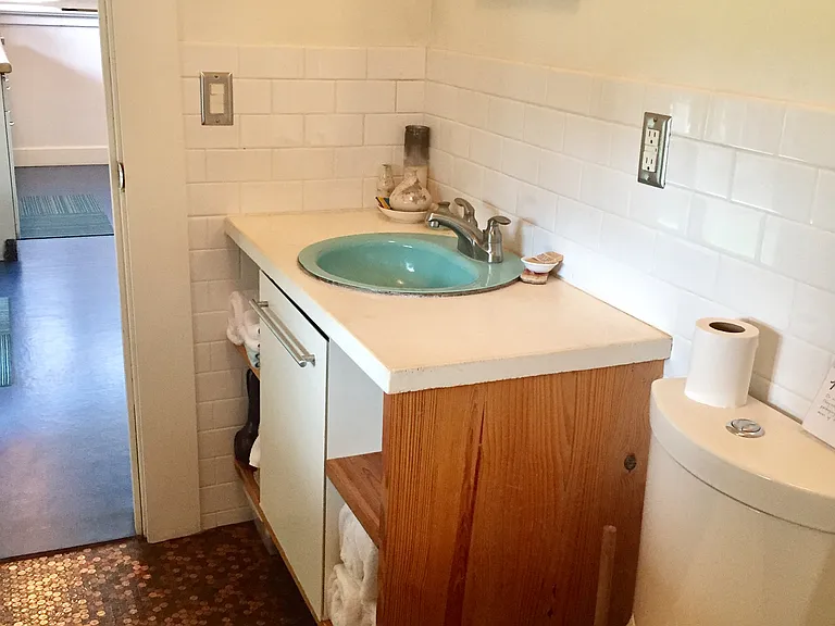 bathroom with penny-tiled floor