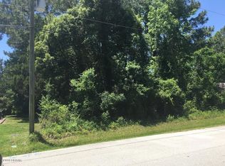 109 Birchwood Dr, Palm Coast, FL 32137