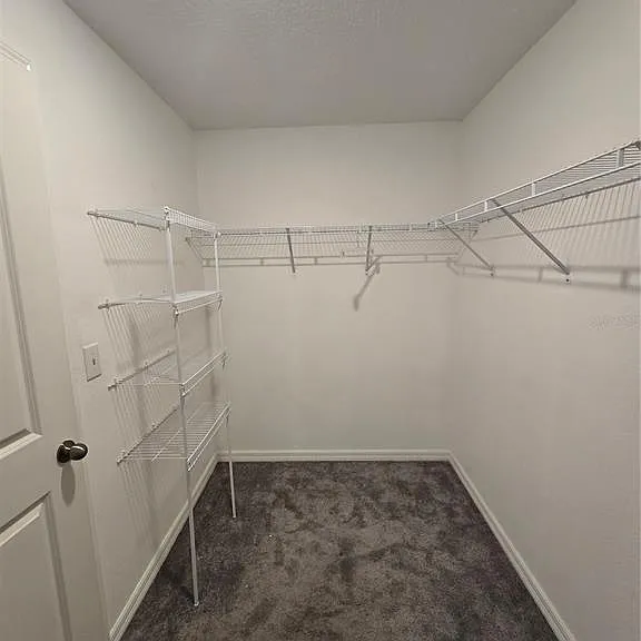 838 Olive Conch St — Photo 15