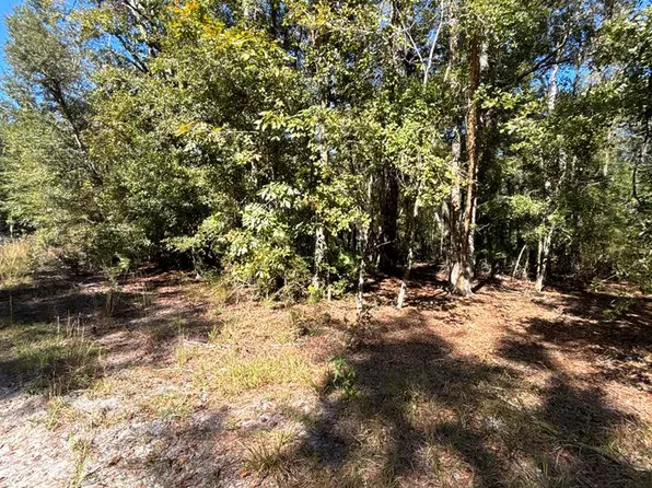 Lot 3 SE 843rd St, Old Town, FL 32008