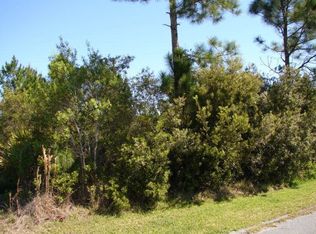 18 Buffalo Meadow Ln, Palm Coast, FL 32137