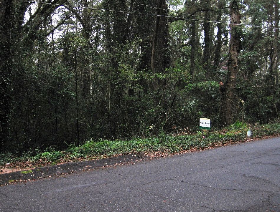 2nd image of Raa Avenue Lot