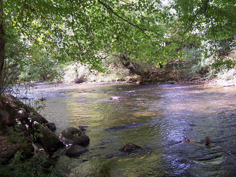 View SSW from creek front