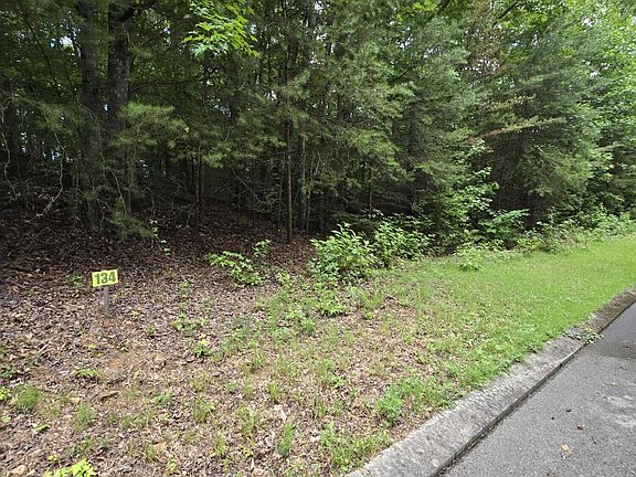 2nd image of LOT 134 Lower Brow Rd