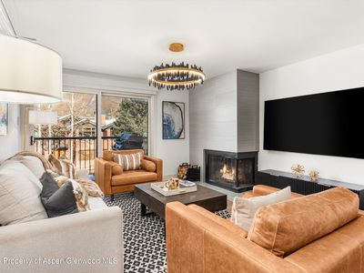205 E Durant Ave APT 1G, Aspen, CO, 81611