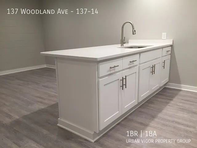 Beautiful & Modern- Newly Remodeled Luxury Unit -Downtown Lexington! — Photo 4