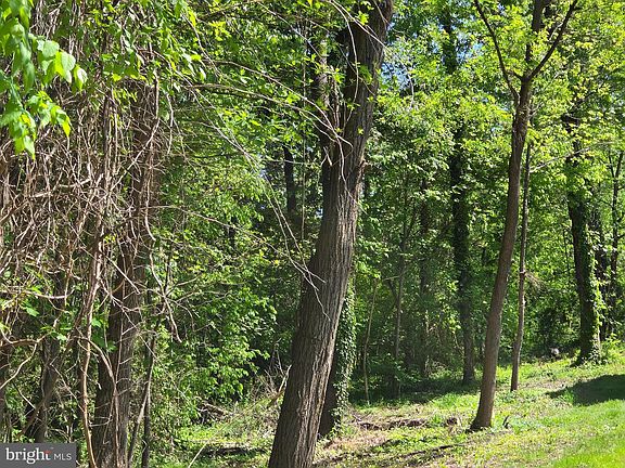 2nd image of Dogwood Dr #662