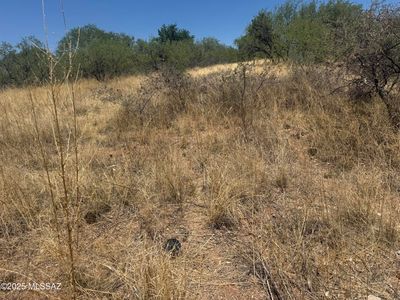 1756 W Sunset Dr #197, Nogales, AZ, 85621