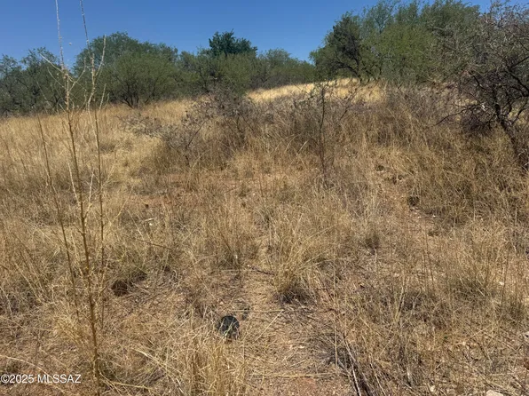 1756 W Sunset Dr #197, Nogales, AZ 85621