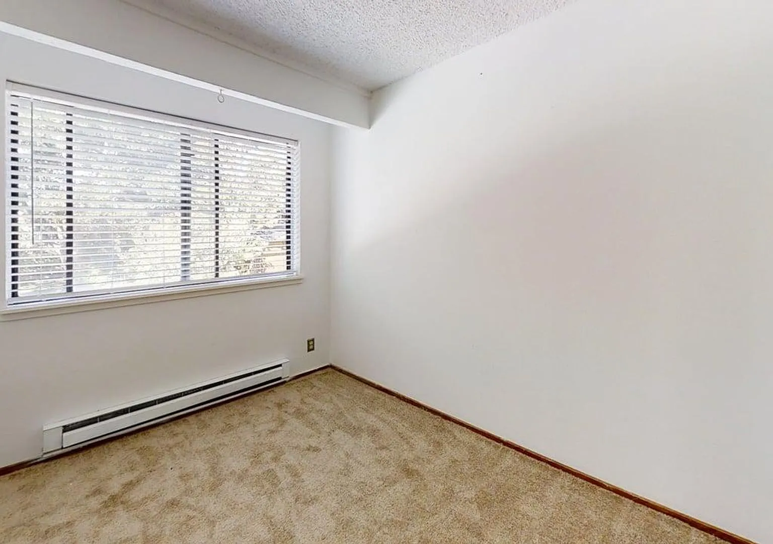Spacious Willow Springs Townhome Near Trails, Shopping & Dining — Photo 4