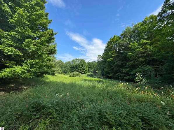0 W Beeman Rd, Empire, MI 49630