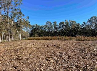 Tbt County Line Road Hwy #41, Andrews, SC 29510