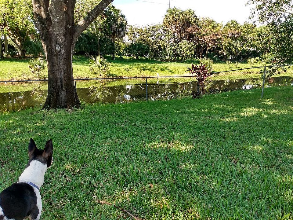 Large fenced in back yard,