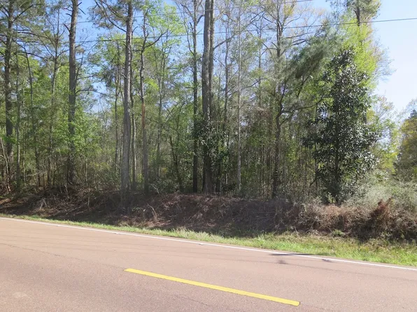 Messemore Rd Lot A, Ellisville, MS 39437