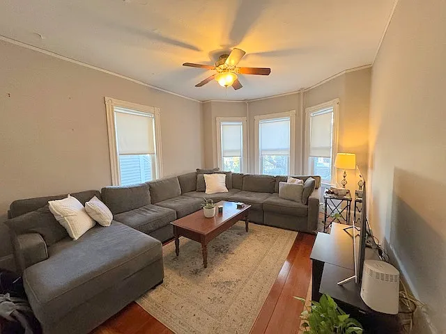 46 Dustin St #1