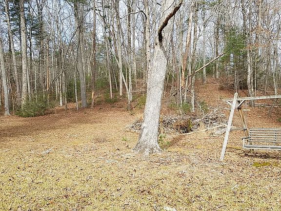 View north to state forest