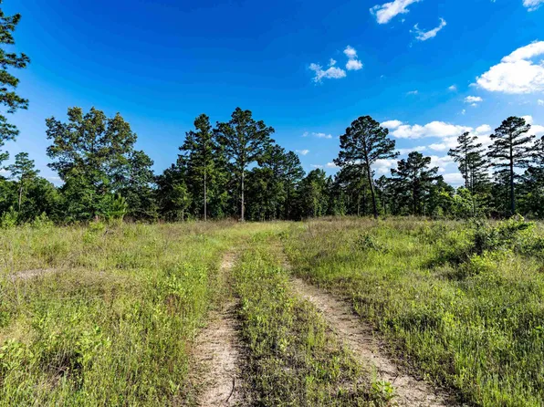 Acr 1231, Palestine, TX 75801